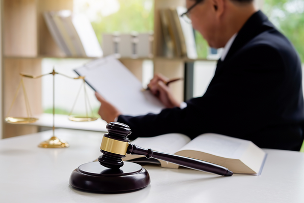 Sdu Solventierecht